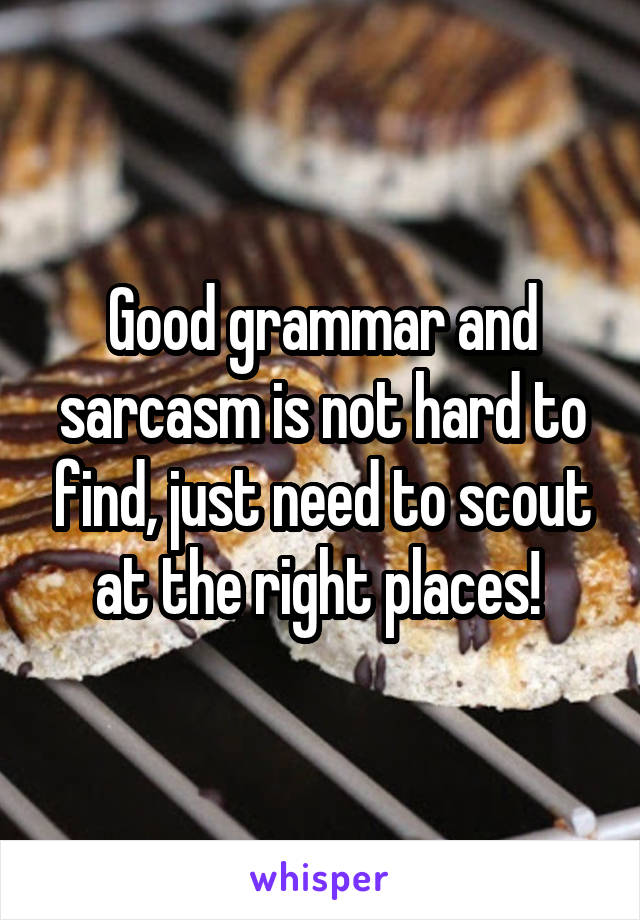 Good grammar and sarcasm is not hard to find, just need to scout at the right places! 