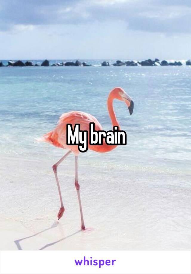 My brain