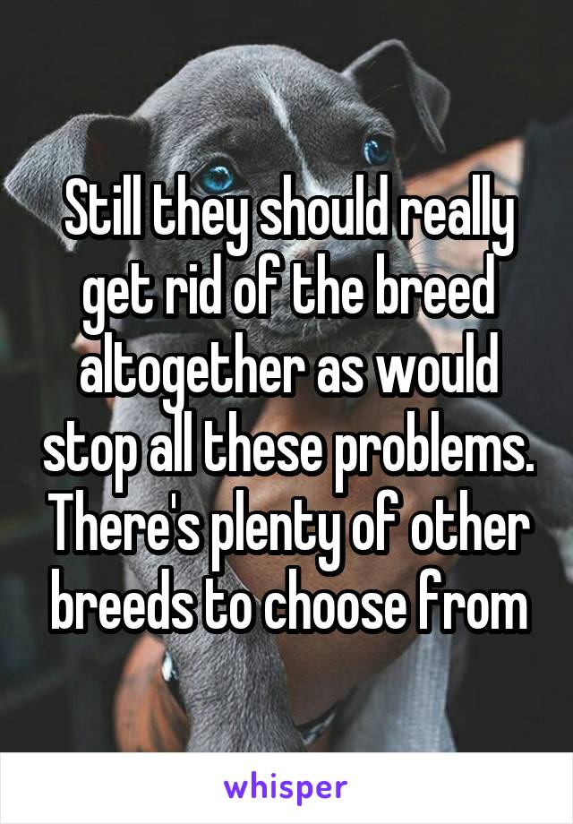 Still they should really get rid of the breed altogether as would stop all these problems. There's plenty of other breeds to choose from