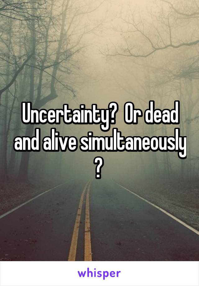 Uncertainty?  Or dead and alive simultaneously ? 