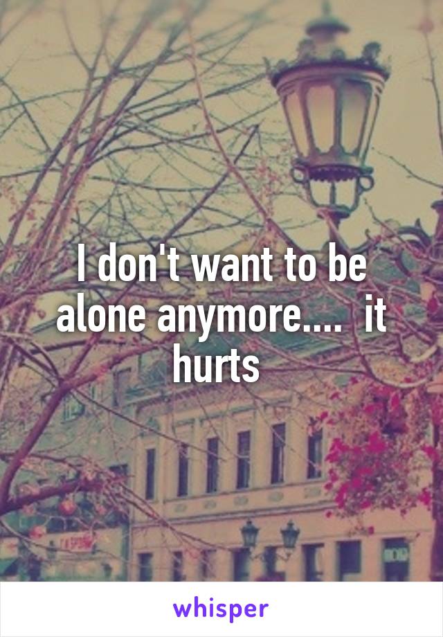 I don't want to be alone anymore....  it hurts 