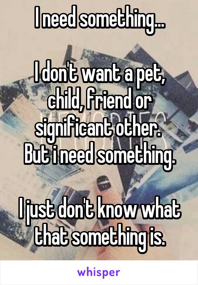 I need something...

I don't want a pet, child, friend or significant other. 
But i need something.

I just don't know what that something is.
