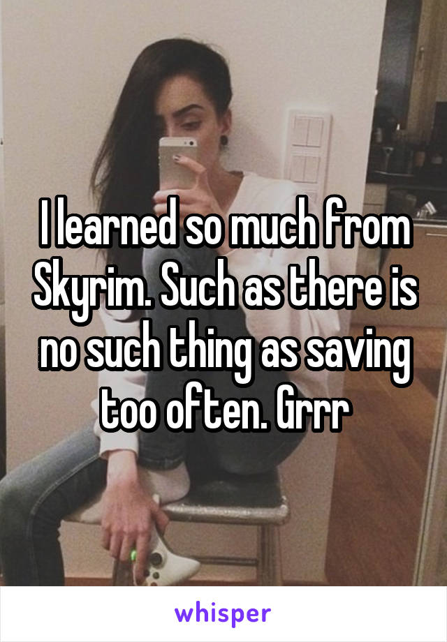 I learned so much from Skyrim. Such as there is no such thing as saving too often. Grrr