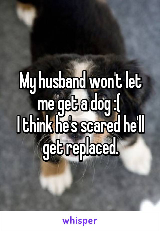 My husband won't let me get a dog :( 
I think he's scared he'll get replaced.