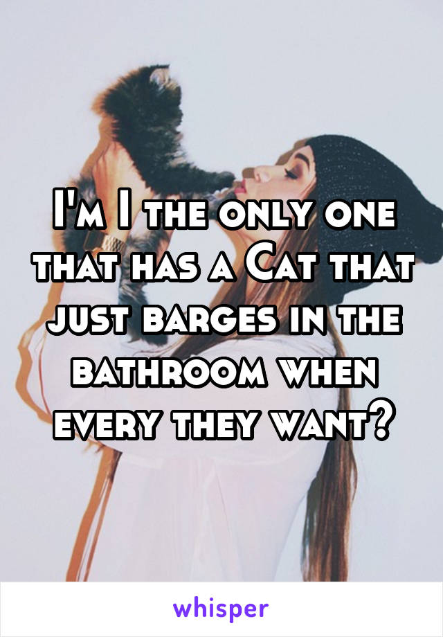 I'm I the only one that has a Cat that just barges in the bathroom when every they want?