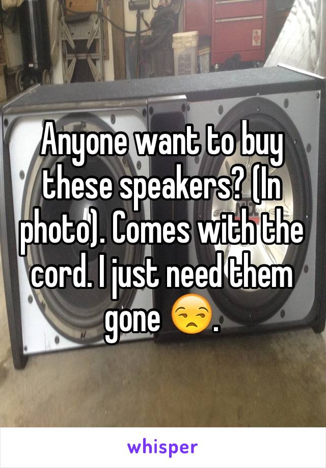 Anyone want to buy these speakers? (In photo). Comes with the cord. I just need them gone 😒.