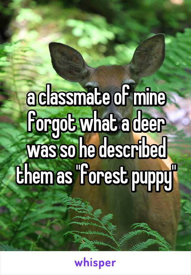 a classmate of mine forgot what a deer was so he described them as "forest puppy"