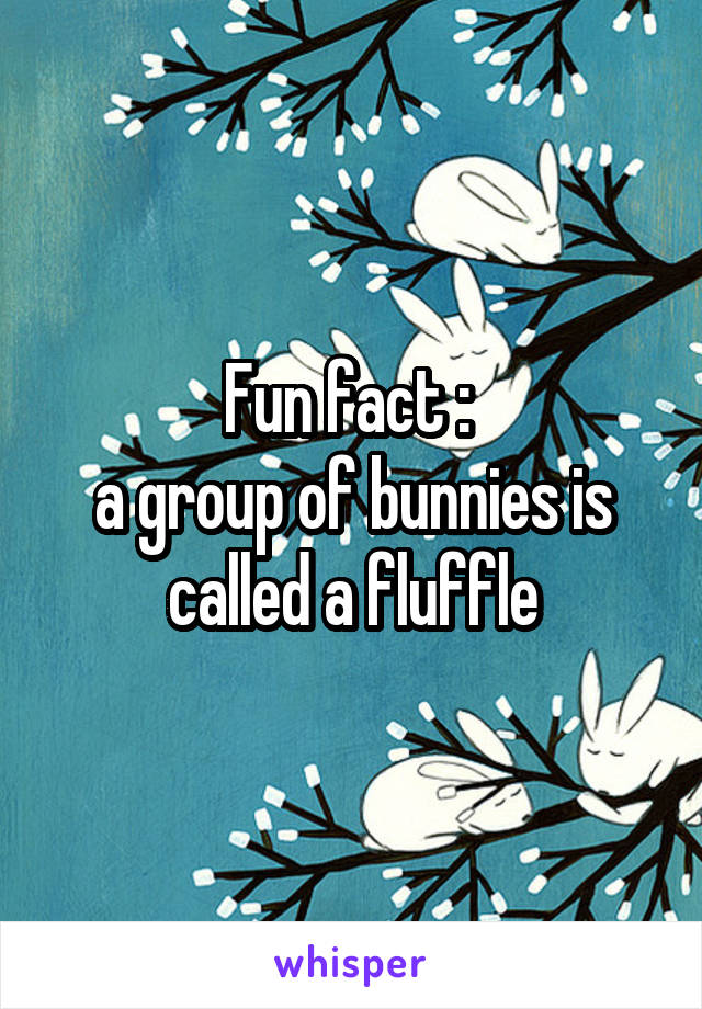 Fun fact : 
a group of bunnies is called a fluffle