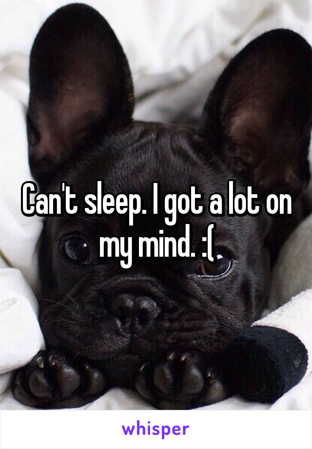 Can't sleep. I got a lot on my mind. :(