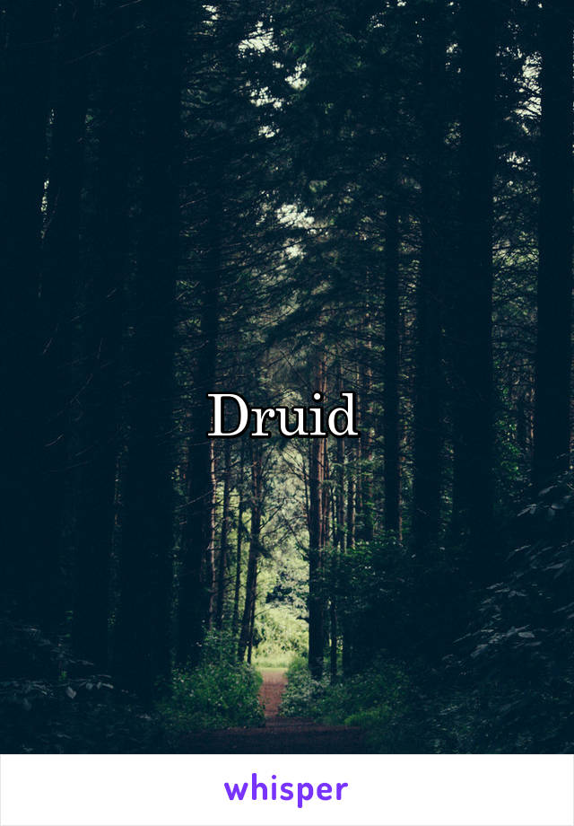 Druid 