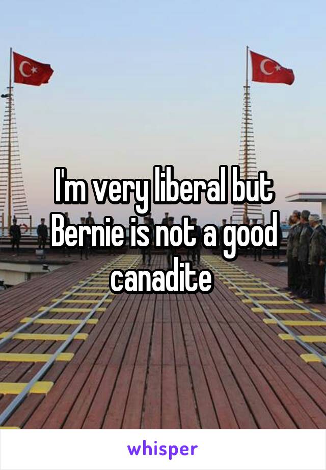 I'm very liberal but Bernie is not a good canadite 