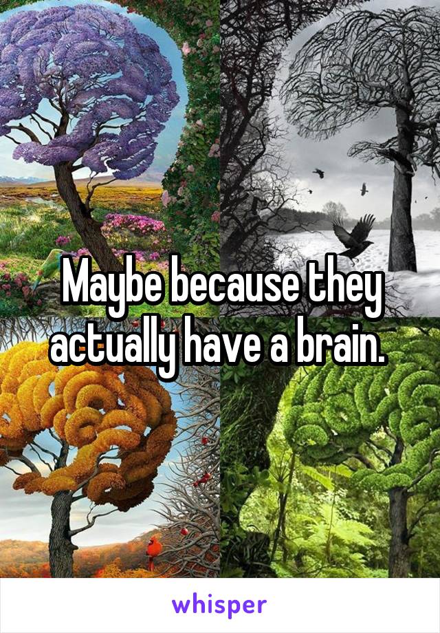 Maybe because they actually have a brain. 