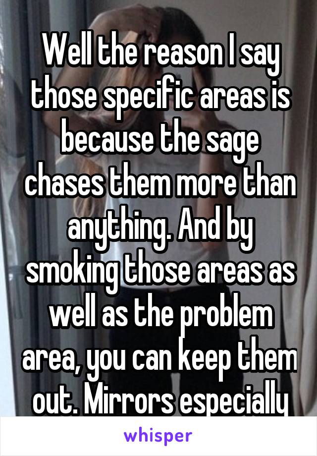 Well the reason I say those specific areas is because the sage chases them more than anything. And by smoking those areas as well as the problem area, you can keep them out. Mirrors especially