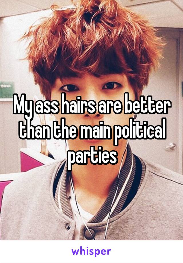 My ass hairs are better than the main political parties