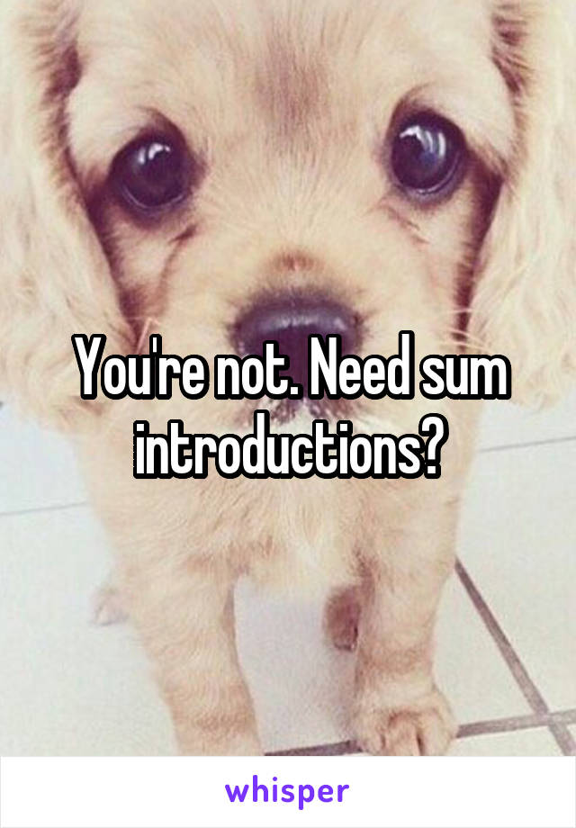 You're not. Need sum introductions?