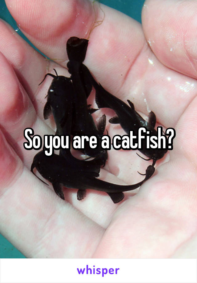 So you are a catfish?