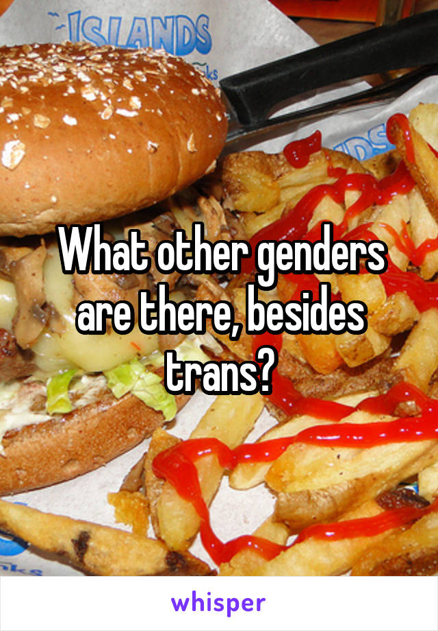 What other genders are there, besides trans?