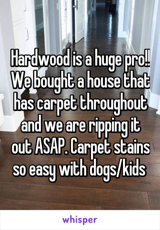 Hardwood is a huge pro!! We bought a house that has carpet throughout and we are ripping it out ASAP. Carpet stains so easy with dogs/kids 