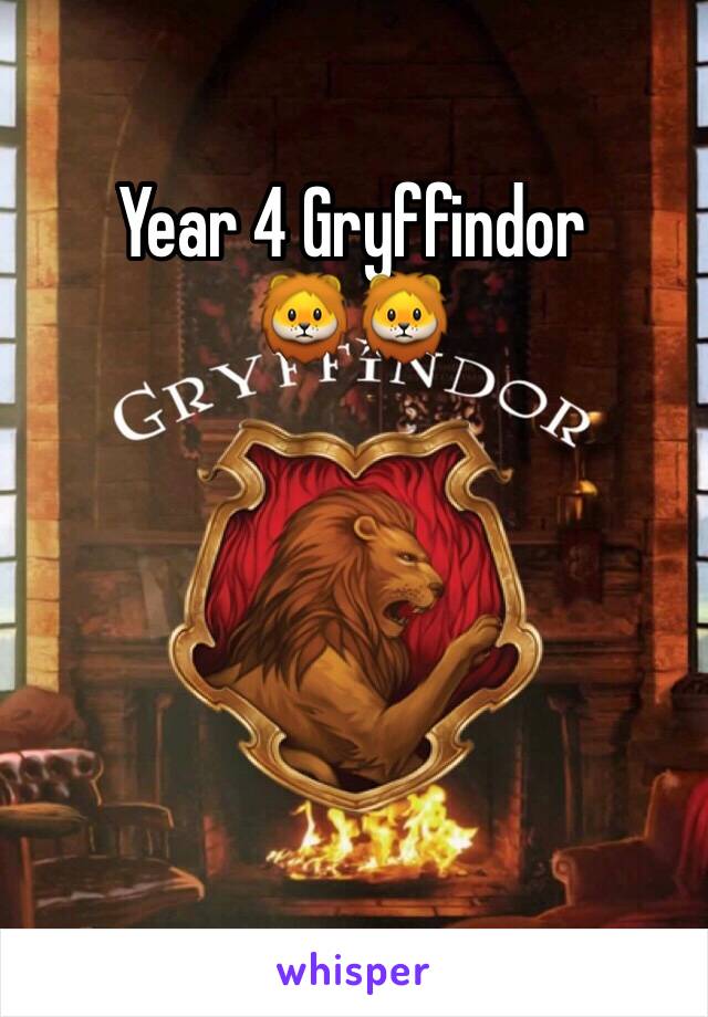 Year 4 Gryffindor 
🦁🦁