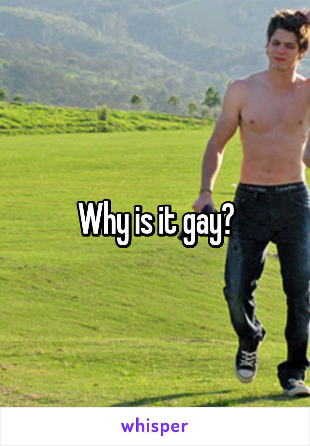 Why is it gay?