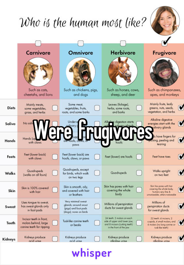 Were  frugivores