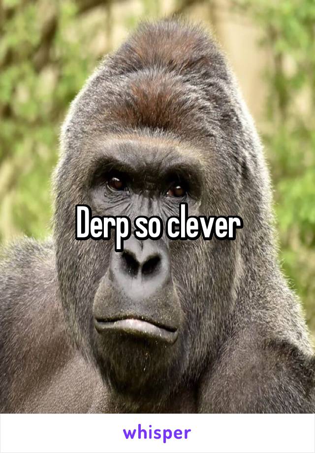 Derp so clever