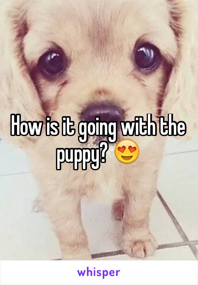How is it going with the puppy? 😍