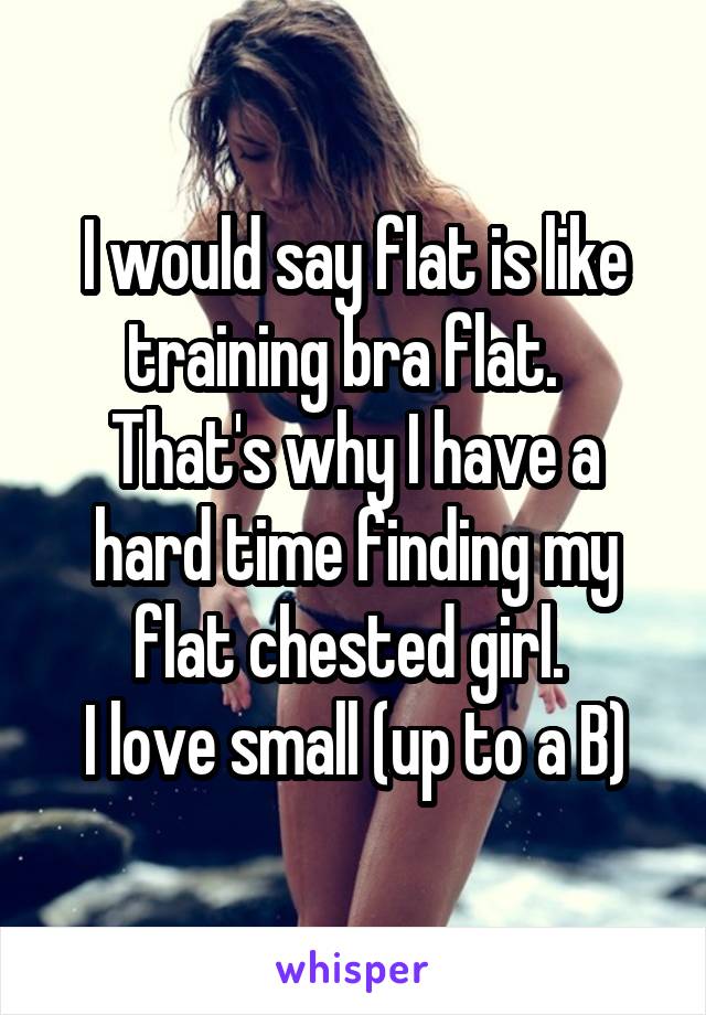 I would say flat is like training bra flat.  
That's why I have a hard time finding my flat chested girl. 
I love small (up to a B)