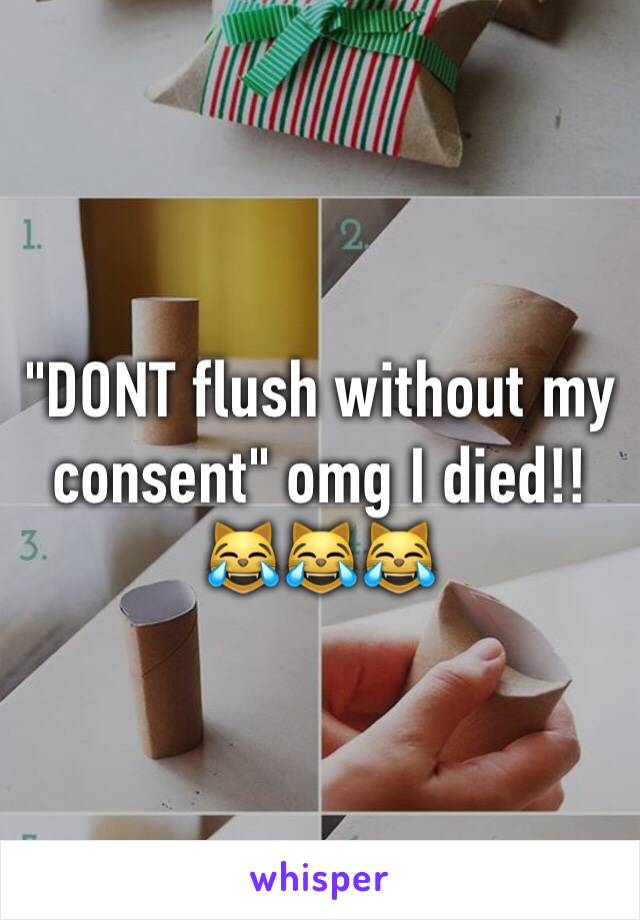 "DONT flush without my consent" omg I died!! 😹😹😹