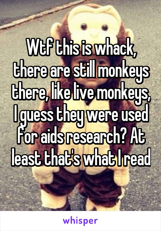 Wtf this is whack, there are still monkeys there, like live monkeys, I guess they were used for aids research? At least that's what I read 