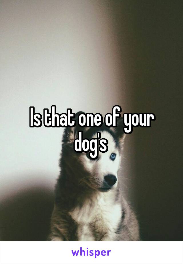 Is that one of your dog's 