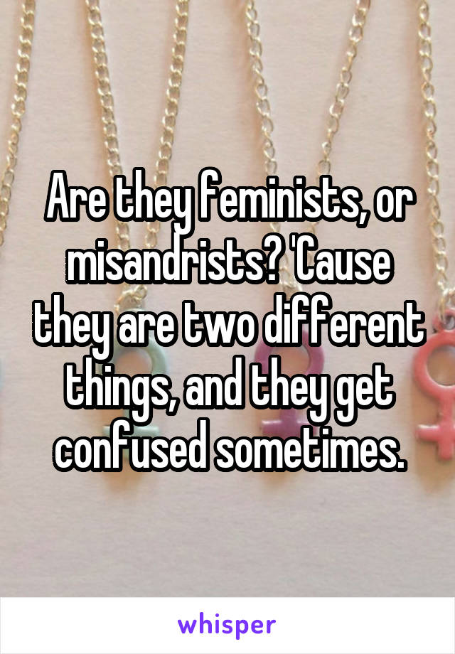 Are they feminists, or misandrists? 'Cause they are two different things, and they get confused sometimes.