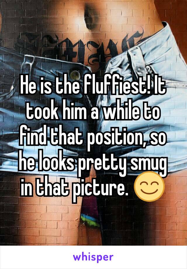 He is the fluffiest! It took him a while to find that position, so he looks pretty smug in that picture. 😊