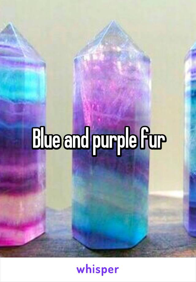 Blue and purple fur