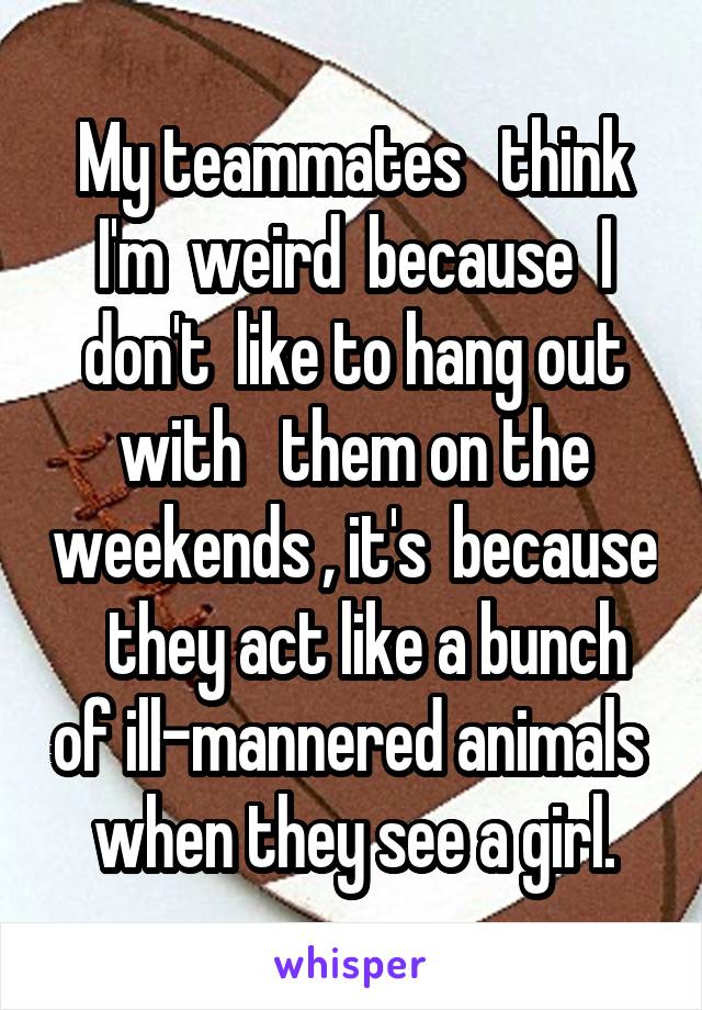My teammates   think I'm  weird  because  I don't  like to hang out with   them on the weekends , it's  because   they act like a bunch of ill-mannered animals  when they see a girl.