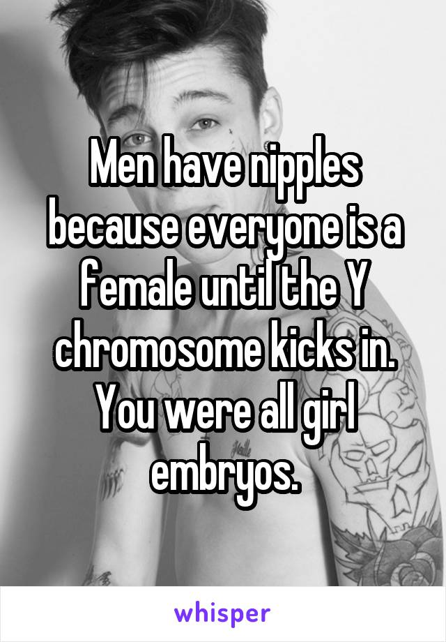 Men have nipples because everyone is a female until the Y chromosome kicks in. You were all girl embryos.