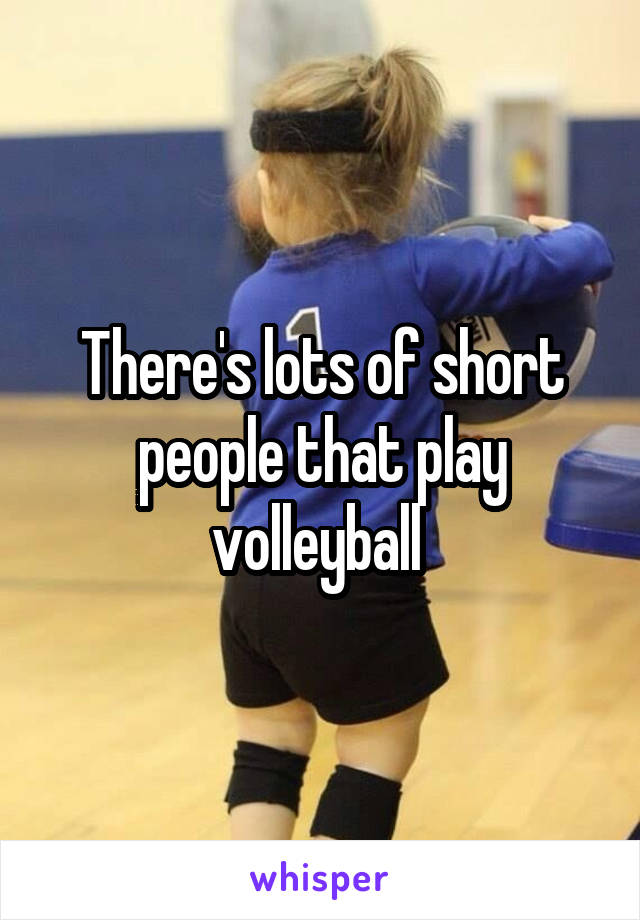There's lots of short people that play volleyball 