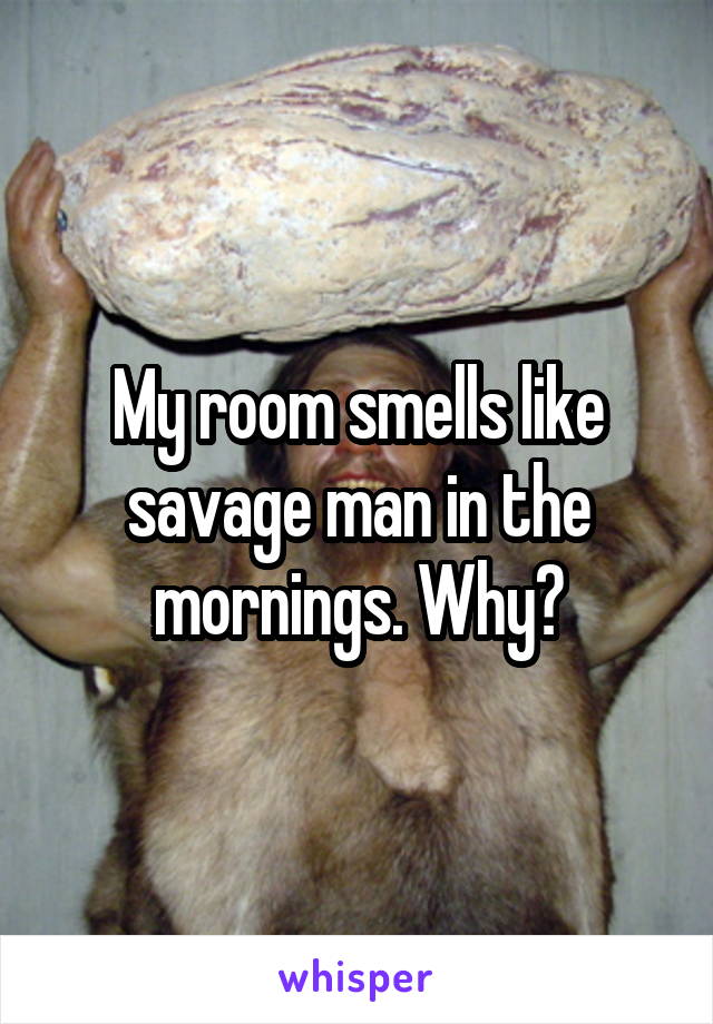 My room smells like savage man in the mornings. Why?