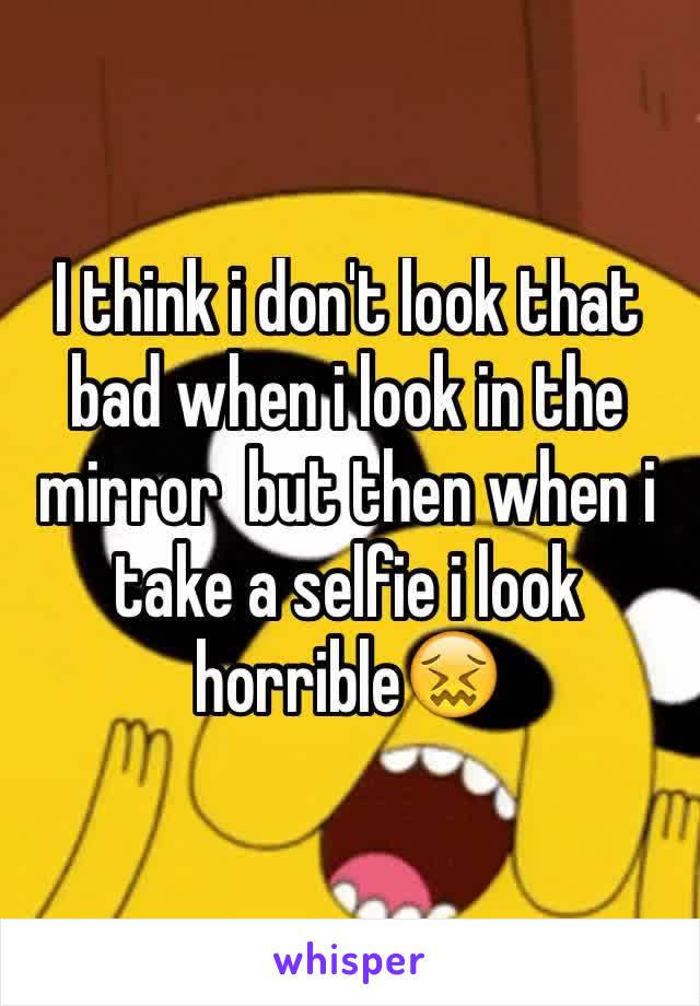 I think i don't look that bad when i look in the mirror  but then when i take a selfie i look horribleðŸ˜–