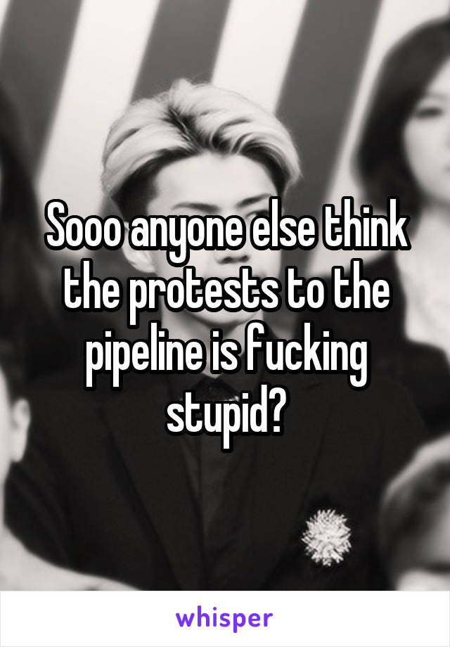 Sooo anyone else think the protests to the pipeline is fucking stupid?