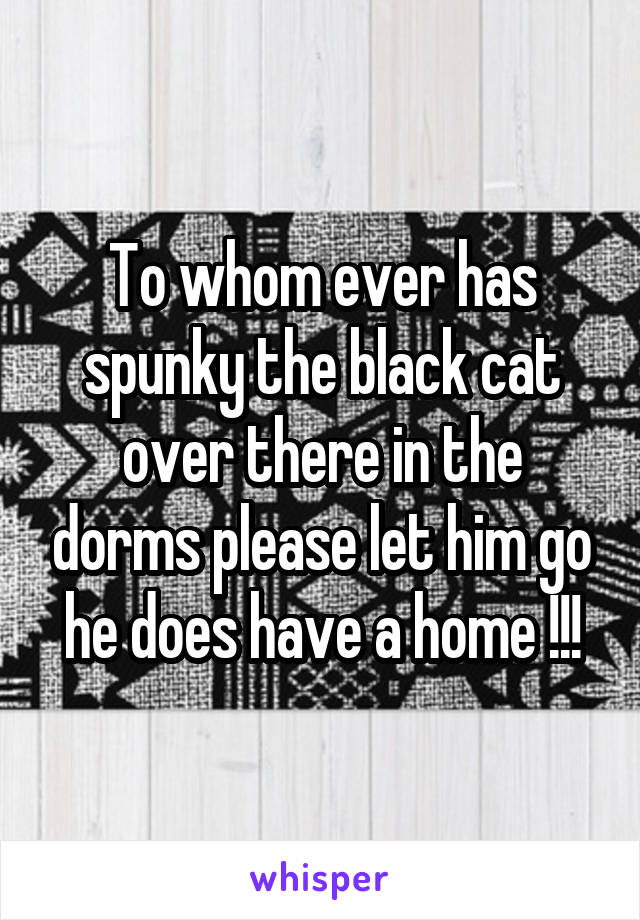To whom ever has spunky the black cat over there in the dorms please let him go he does have a home !!!