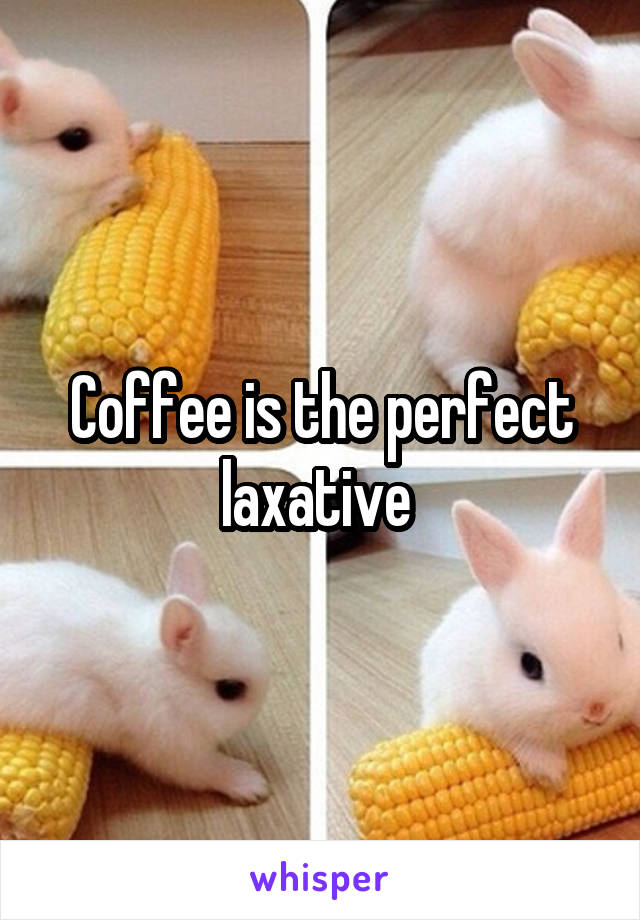 Coffee is the perfect laxative 
