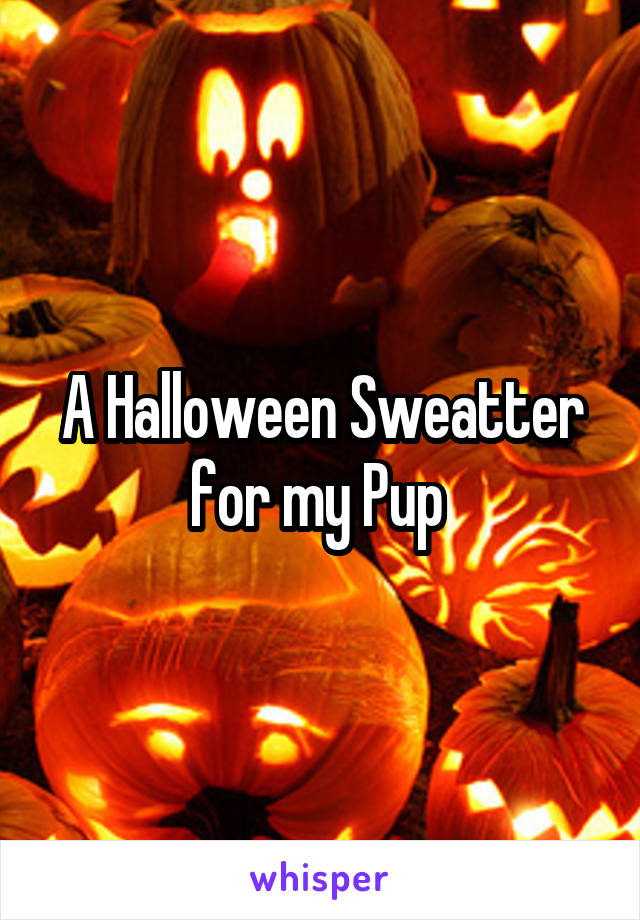A Halloween Sweatter for my Pup 