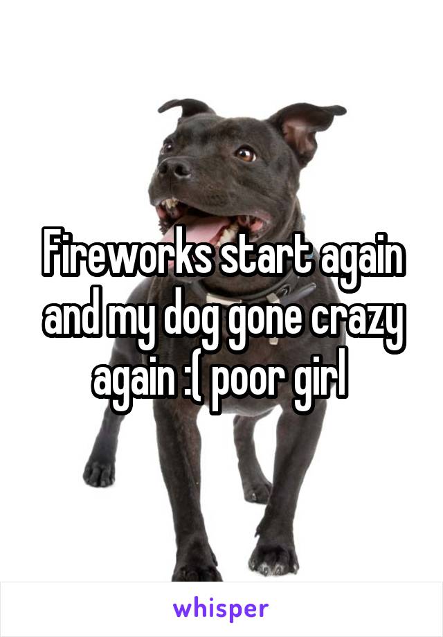 Fireworks start again and my dog gone crazy again :( poor girl 