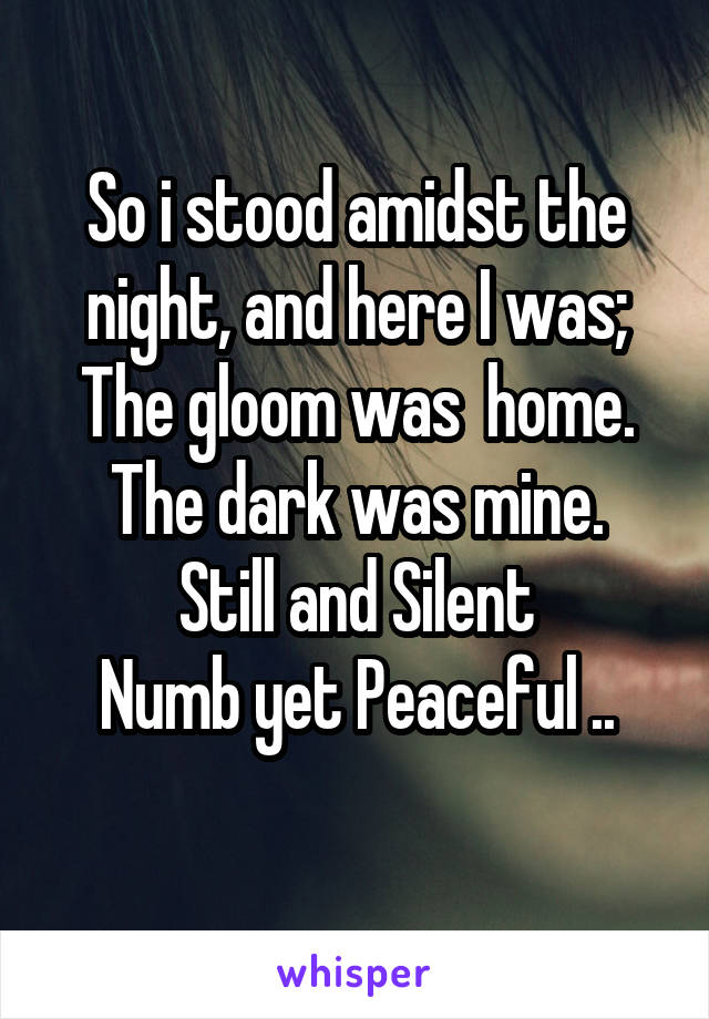 So i stood amidst the night, and here I was;
The gloom was  home.
The dark was mine.
Still and Silent
Numb yet Peaceful ..
