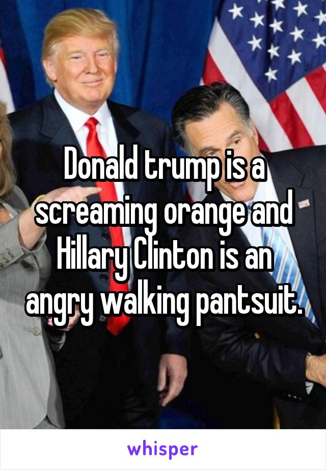 Donald trump is a screaming orange and Hillary Clinton is an angry walking pantsuit.