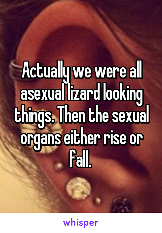 Actually we were all asexual lizard looking things. Then the sexual organs either rise or fall. 
