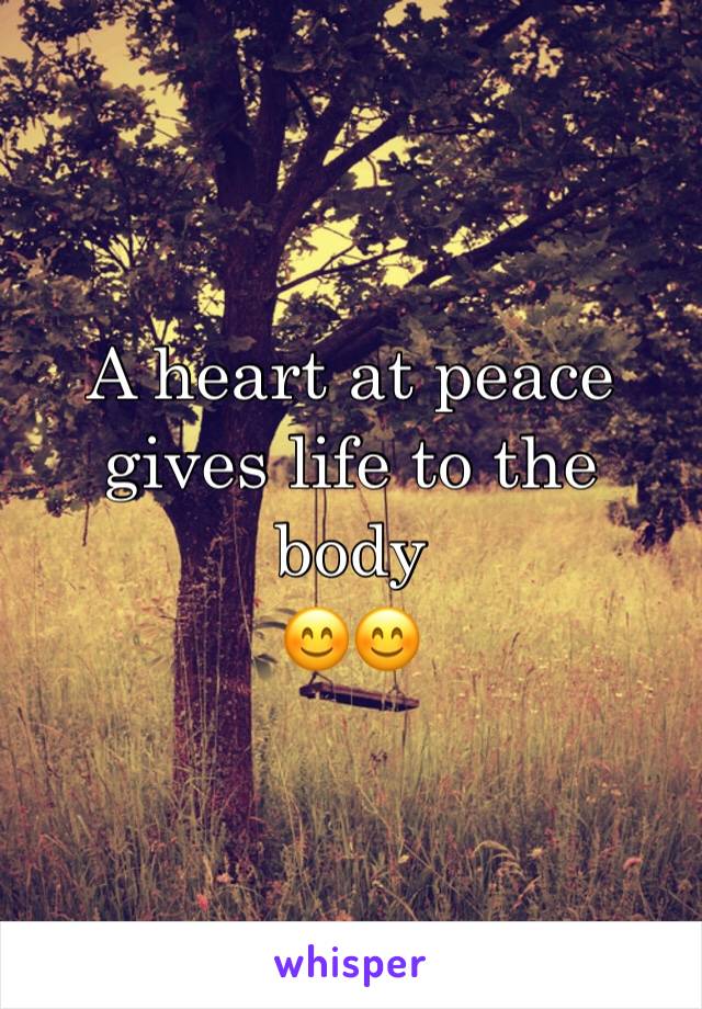 A heart at peace gives life to the body 
ðŸ˜ŠðŸ˜Š