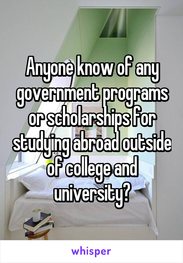 Anyone know of any government programs or scholarships for studying abroad outside of college and university?
