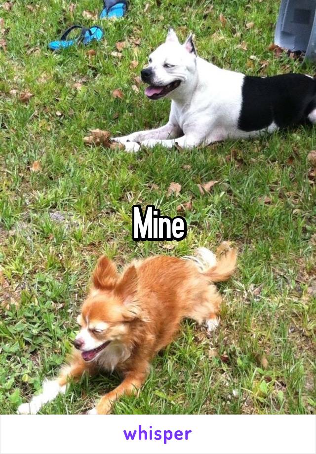 Mine